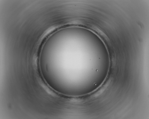 X0000114161029200910151602