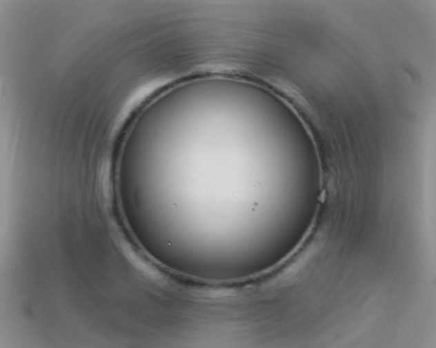 X0000114161030200910151602