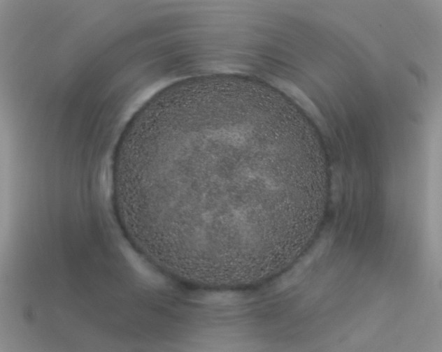 X0000114161031200910151602