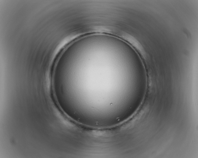 X0000114161032200910151602