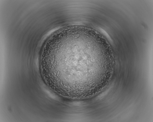 X0000114161035200910151602