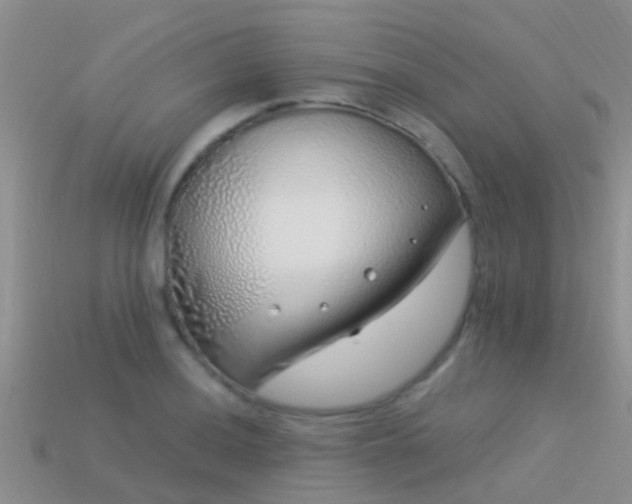 X0000114161036200910151602