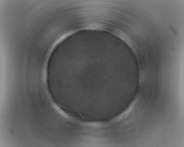 X0000114161037200910151602