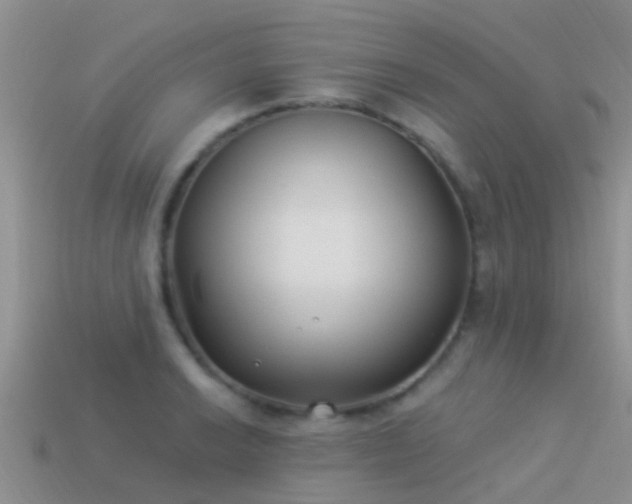 X0000114161038200910151602