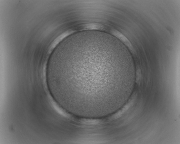 X0000114161039200910151602