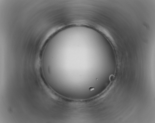 X0000114161040200910151602