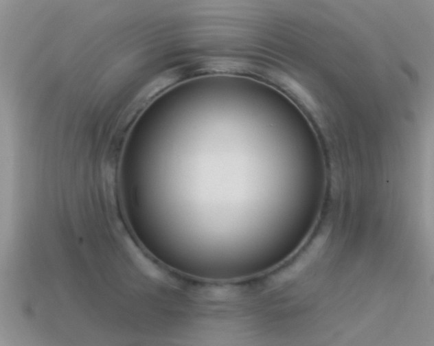 X0000114161041200910151602