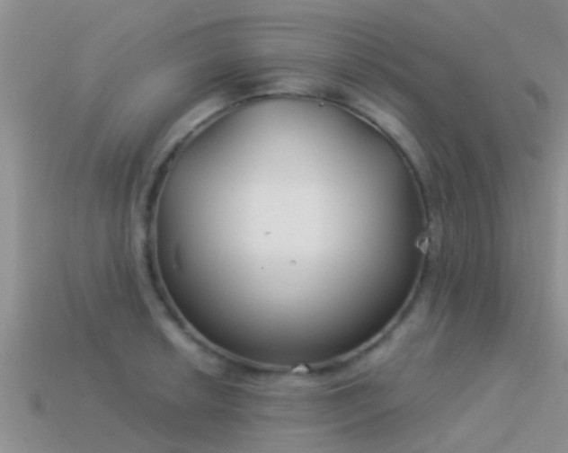 X0000114161042200910151602