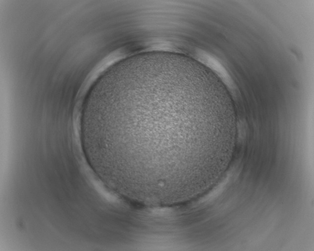 X0000114161043200910151602