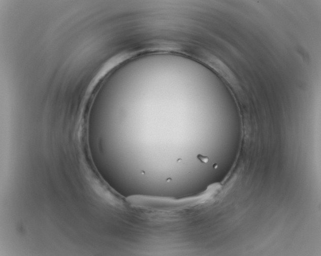 X0000114161044200910151602