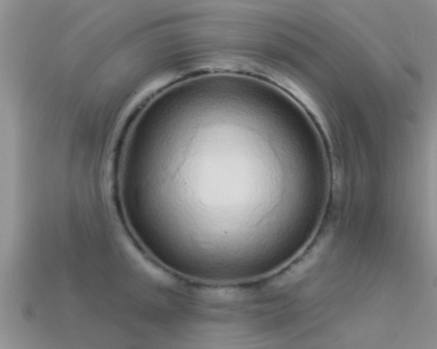 X0000114161045200910151602