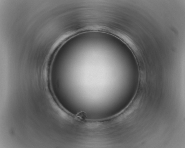 X0000114161046200910151602