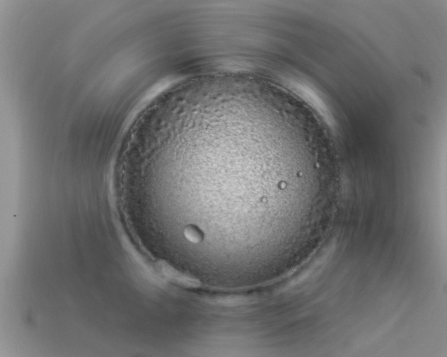 X0000114161047200910151602