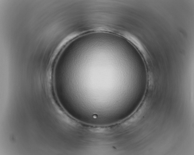 X0000114161048200910151602