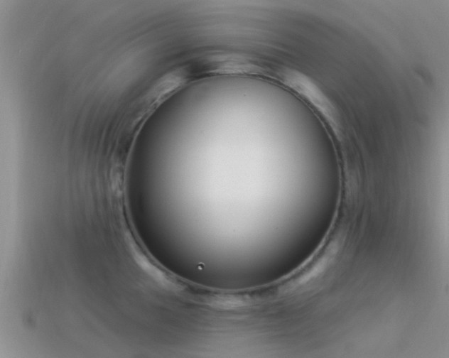 X0000114161049200910151602