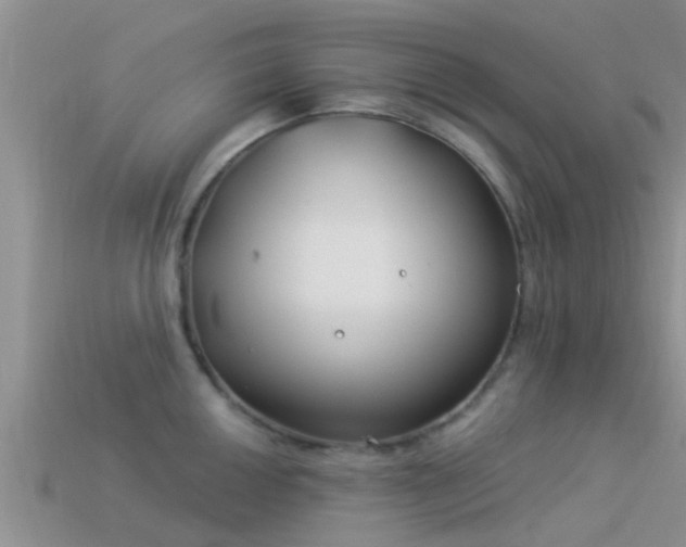 X0000114161050200910151602