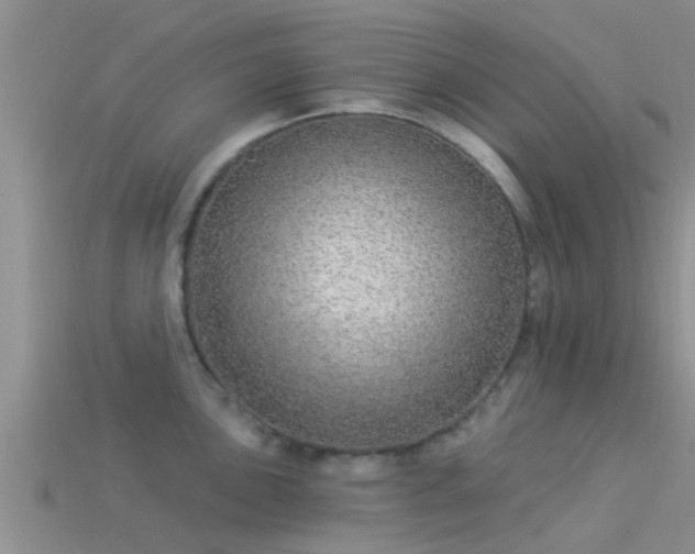 X0000114161051200910151602