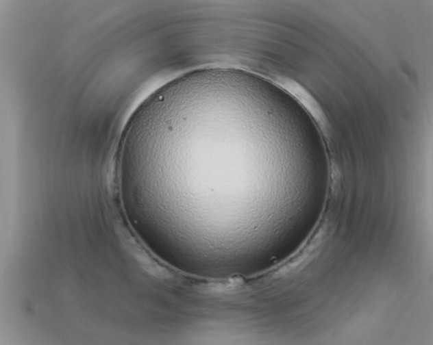 X0000114161052200910151602