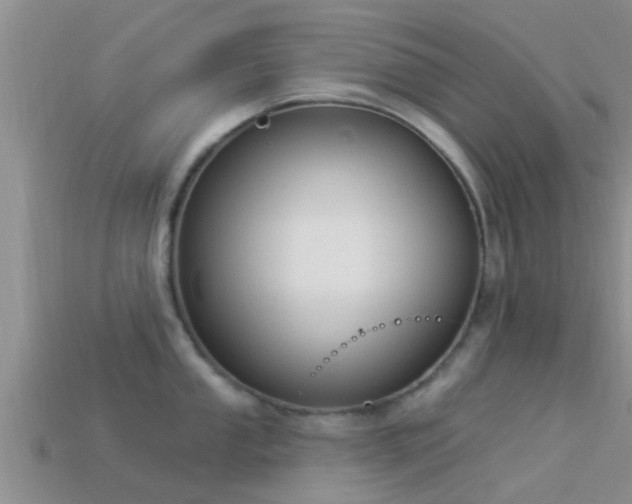 X0000114161053200910151602