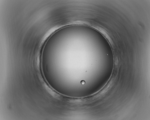 X0000114161054200910151602