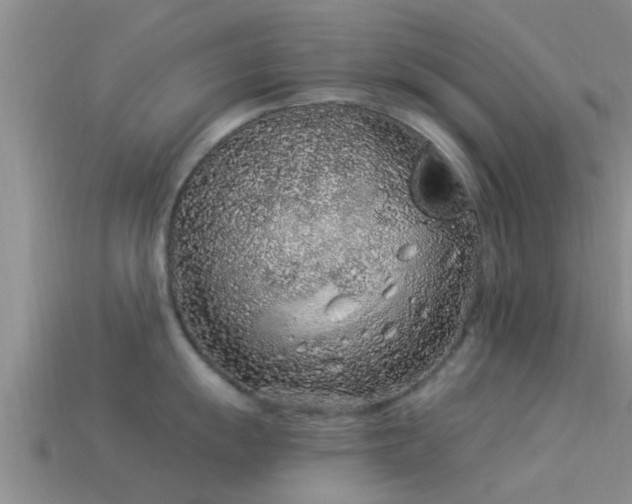 X0000114161055200910151602