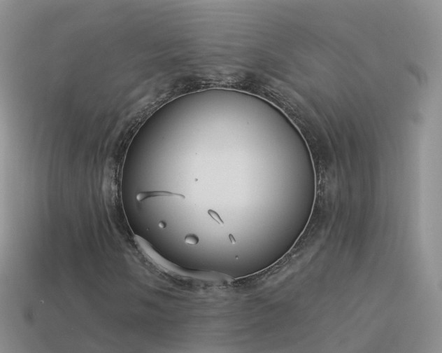 X0000114161058200910151601