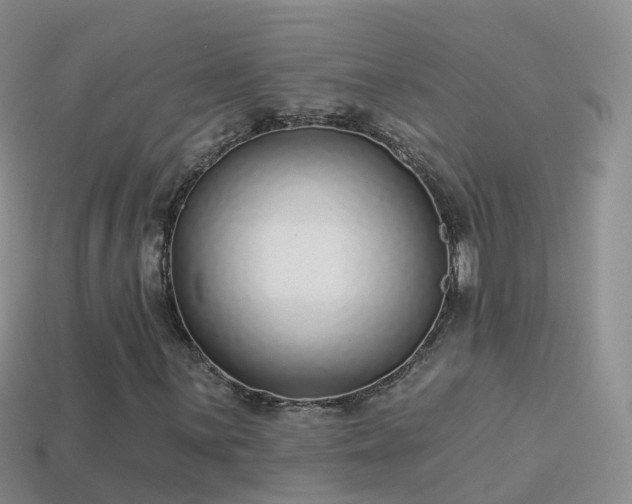 X0000114161059200910151601