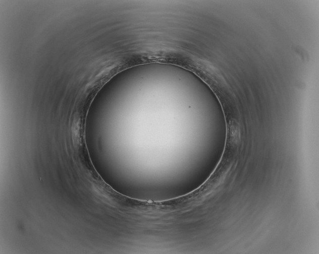 X0000114161060200910151601