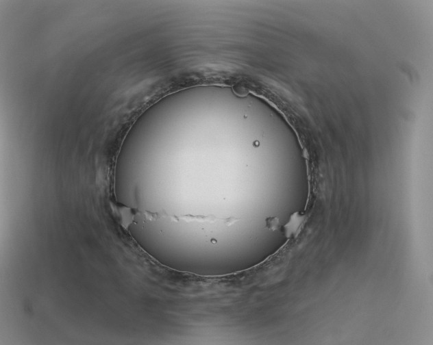 X0000114161061200910151601