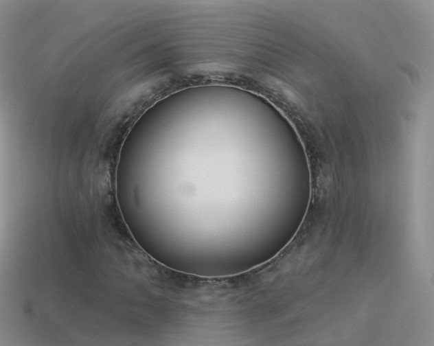 X0000114161062200910151601