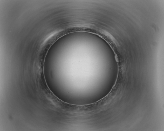 X0000114161064200910151601