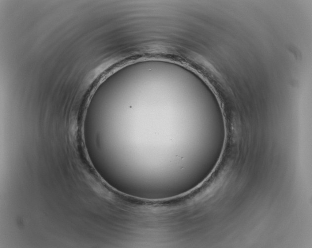 X0000114161065200910151601