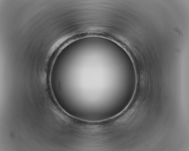 X0000114161066200910151601