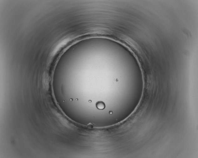 X0000114161067200910151601