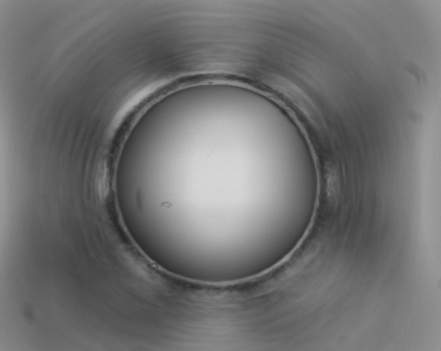 X0000114161069200910151601