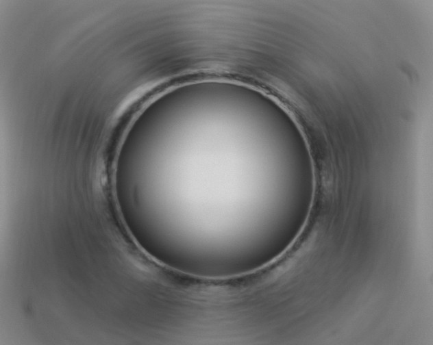 X0000114161070200910151601