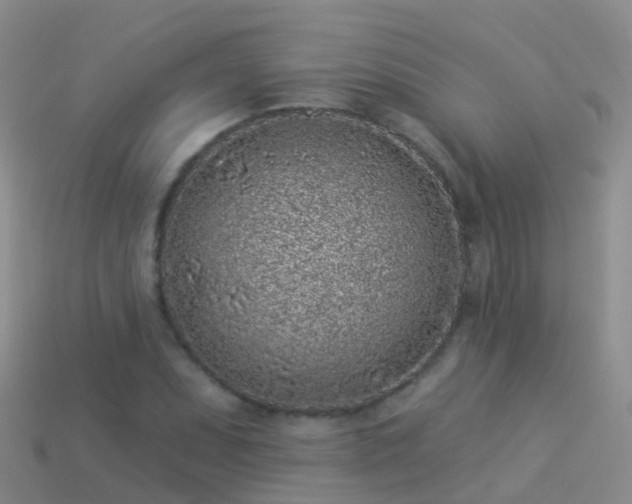 X0000114161071200910151601