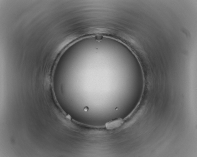 X0000114161073200910151601