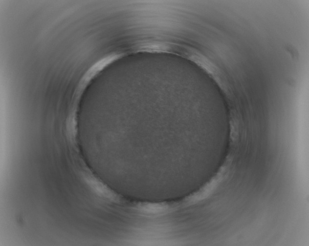 X0000114161074200910151601