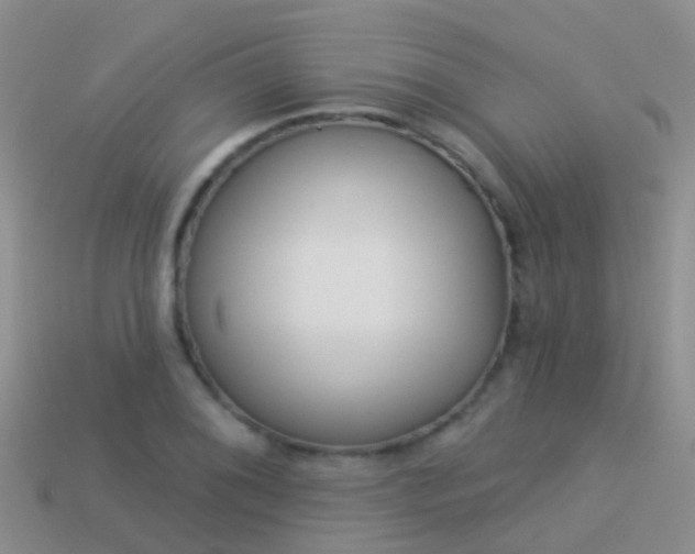 X0000114161076200910151601