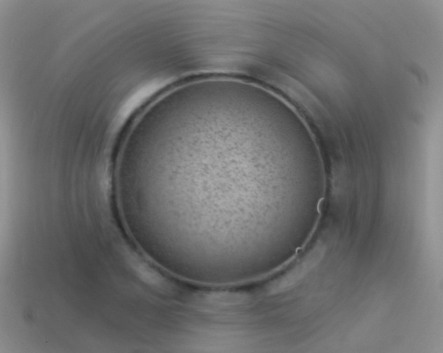 X0000114161077200910151601