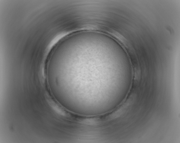 X0000114161078200910151601