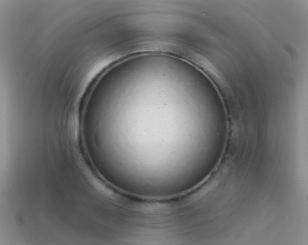 X0000114161079200910151601