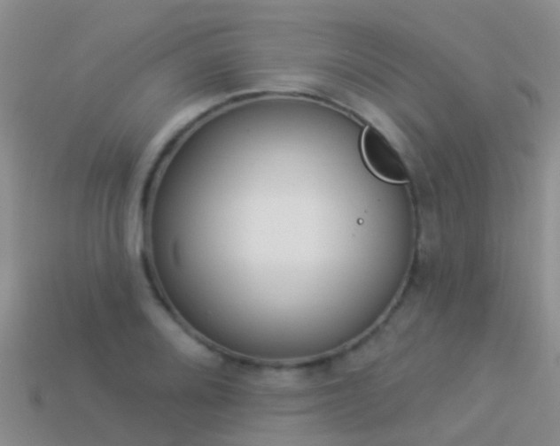 X0000114161080200910151601