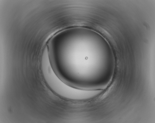 X0000114161081200910151601