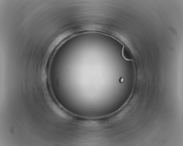 X0000114161082200910151601