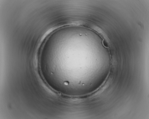 X0000114161083200910151601