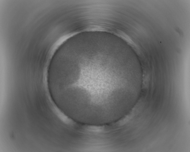 X0000114161086200910151601