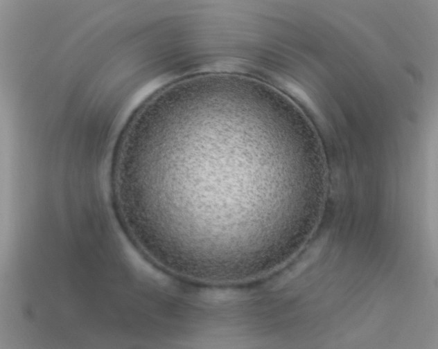 X0000114161087200910151601