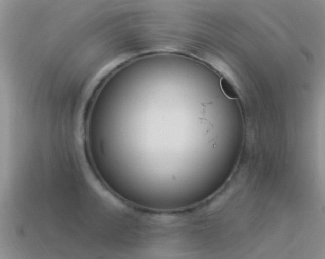 X0000114161088200910151601